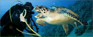 Фотография Сайфутдинова Артура