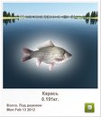 Паша-Та-Ілля Вербицькі фотография #48 (источник - https://vk.com/id163437467)