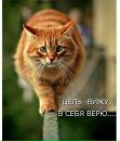 Фотография Колес Ярославны