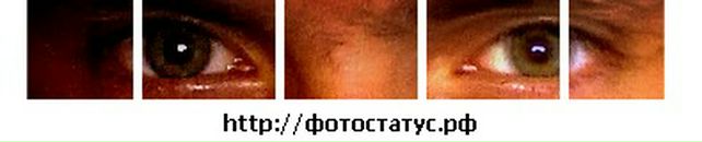 Віталій Шевчук фотография #35 (источник - https://vk.com/id20878859)