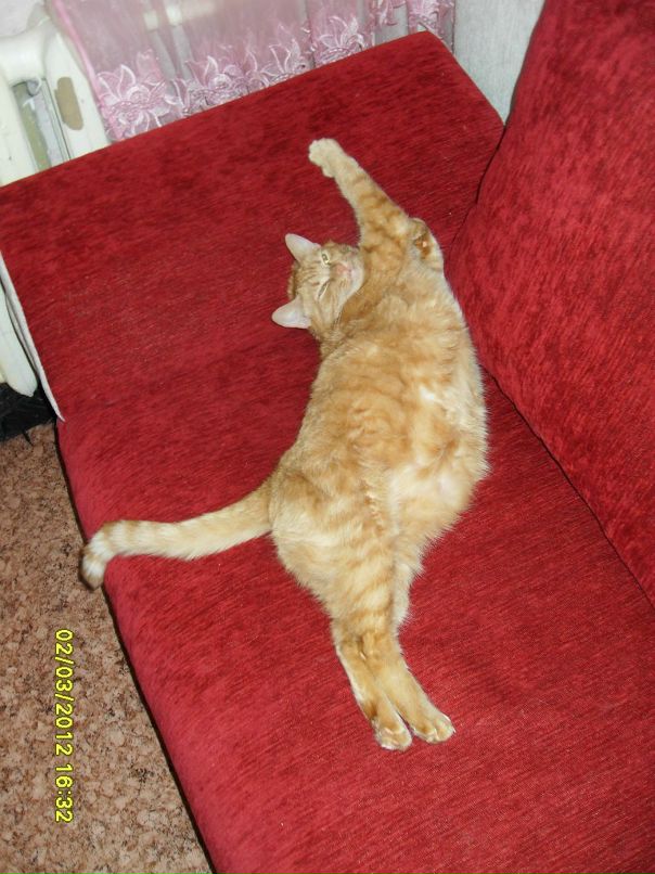 Антон Смолов фотография #44