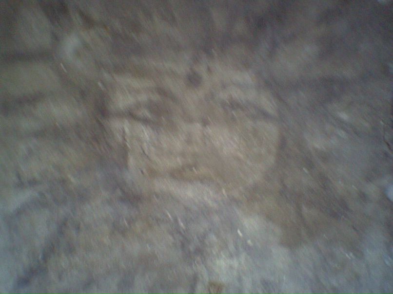 Dmitriy Golosov фотография #9