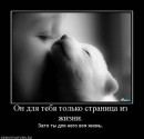 Вікочка Шелемба фотография #35 (источник - https://vk.com/id70260429)