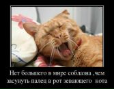 Юра Левіс фотография #48 (источник - https://vk.com/id15286792)