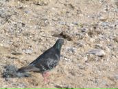 Фотография Зиннурова Тимура