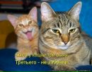 Анжеліка Кривич фотография #23 (источник - https://vk.com/id119069069)