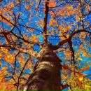 Фотография Кугиной Ольги