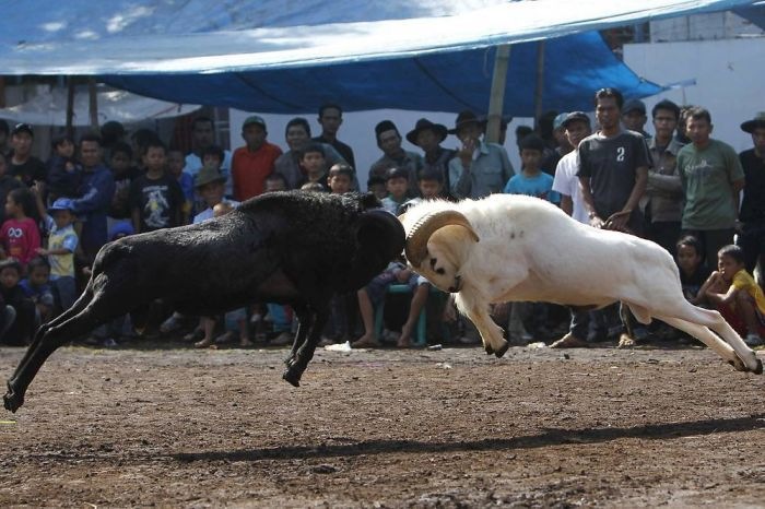 Фарид Гайсин фотография #20