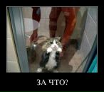 Фотография Xxx Михаила