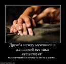 Fan V+g фотография #1