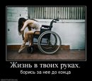 Вікторія Гранюк-Гедеон фотография #28 (источник - https://vk.com/id11711375)