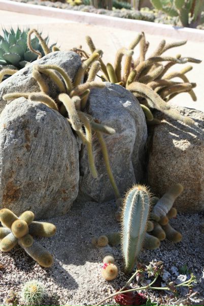 Джейн Эйр фото №7