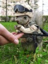 Роман Ведибіда фотография #48 (источник - https://vk.com/id23580245)