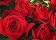 Мирося Мік фотография #5 (источник - https://vk.com/id136897258)