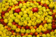 Фотография Альбовой Ирины