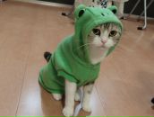 Miha Vol фотография #1