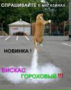 Вова Сідоран фотография #28 (источник - https://vk.com/id38555464)