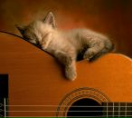 Фотография Мошкова Владимира