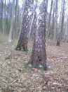 Леонід Мокранський фотография #35 (источник - https://vk.com/id49564910)