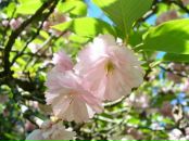 Фотография Сырцовой Татьяны