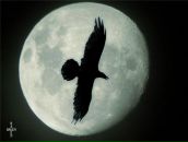 Фотография Габдрахманова Рината