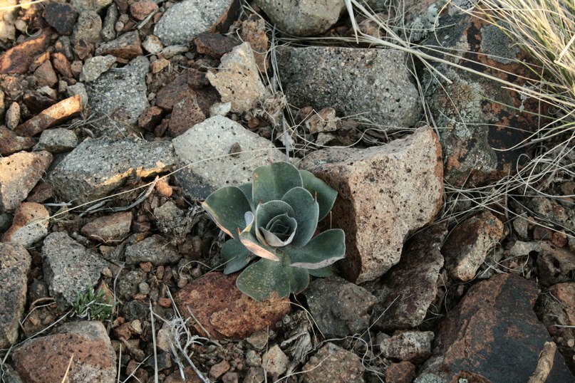 Orlov Ivan фотография #48