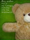 Мішка Теді фотография #24 (источник - https://vk.com/id145099487)