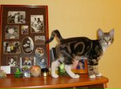 Фотография Коноваловой Виктории