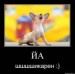  фотография #1