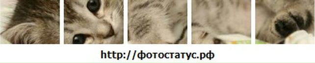 Іра Кулик фотография #18 (источник - https://vk.com/id19033940)