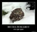 Фотография Гуреевой Лены