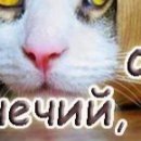 Іра Ковалів фотография #30 (источник - https://vk.com/id140859944)