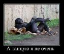 Андрій Цесьців фотография #20 (источник - https://vk.com/id14701047)