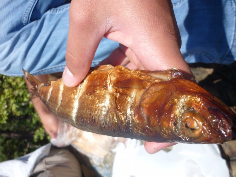 Дмитрий Семенченко фотография #50