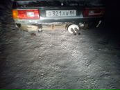 Фотография Белименко Ваньки