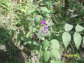 Анна Игнатенко фотография #9 (источник - https://vk.com/id1920265)