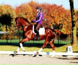 Μарина Κорнилова фотография #36 (источник - https://vk.com/id135490126)