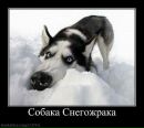 Андрій Климчук фотография #34 (источник - https://vk.com/id151428789)