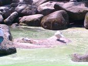 Міша Тригуб фотография #34 (источник - https://vk.com/id33896452)