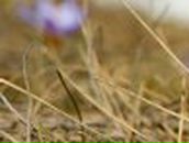 Марина Софьина фотография #15 (источник - https://vk.com/id2904666)