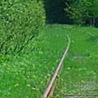 Андріана Петерсон фотография #20 (источник - https://vk.com/id156584043)