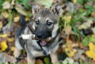 Фотография Шугулевой Альбины