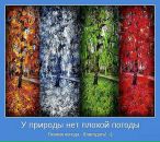Вовчик Демідов фотография #13 (источник - https://vk.com/id103224753)