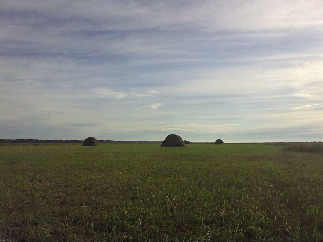 Дима Ивашкин фотография #44