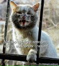 Ліля Аверченко фотография #15 (источник - https://vk.com/id107433834)