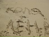 Фотография Малафеевой Елены