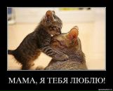 Фотография Камаева Юлиана