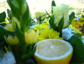 Фотография Стадник Ольги