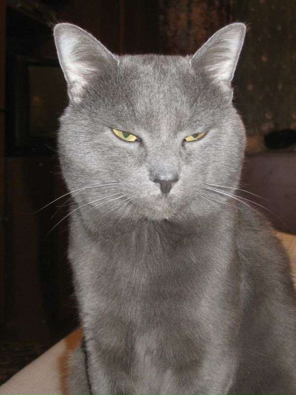 Николай Трушляков фотография #29