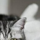 Наталія Олійник фотография #30 (источник - https://vk.com/id85387598)